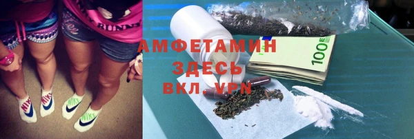 метадон Алексин