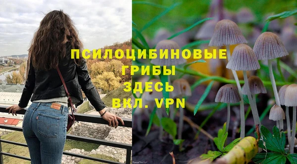 герыч Алзамай