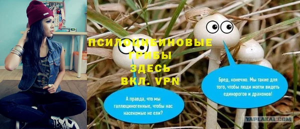 мескалин Алексеевка